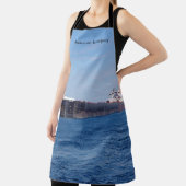 amerikaans schort voor integriteitsbewaking (Insitu)