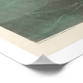 Amerikaans Scoter Duck van Audubon Poster (Hoek)