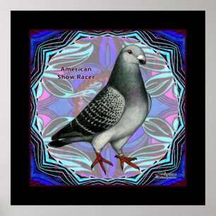 Amerikaans Show Racer Poster