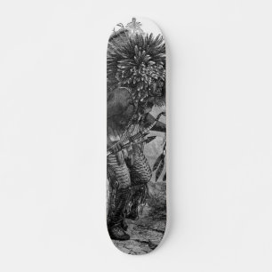 Amerikaans Skateboard