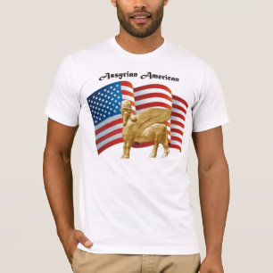 amerikaans t-shirt