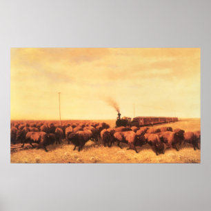  Amerikaans Westen, opgesloten door NH Trotter Poster