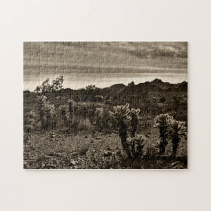 Amerikaans zuidwestlandschap legpuzzel