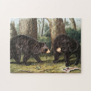 Amerikaans zwart Beer Ursus Americanus Illustratie Legpuzzel
