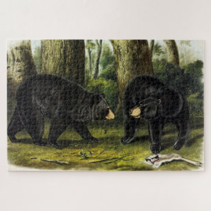 Amerikaans zwart Beer (Ursus Americanus) van Audub Legpuzzel
