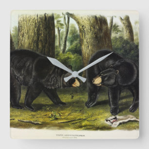 Amerikaans zwart Beer (Ursus Americanus) van Audub Vierkante Klok