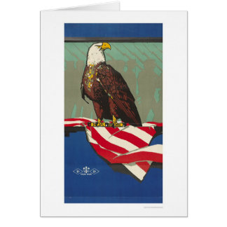 Amerikaanse adelaar