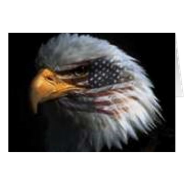 Amerikaanse adelaar (Voorkant Horizontaal)