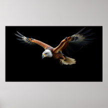 🦅 Amerikaanse Adelaar Aanval - Majestueuze Kracht