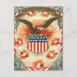 Amerikaanse Adelaar Amerikaanse Vlag Schild Vuurwe Briefkaart