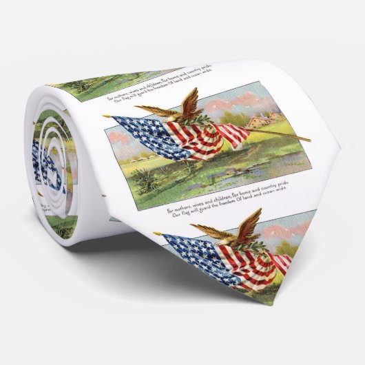 Amerikaanse adelaar en vlag stropdas (Opgerold)