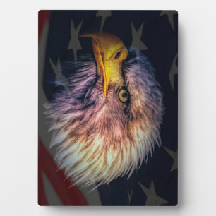 Amerikaanse adelaar met vlag fotoplaat