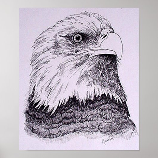 Amerikaanse adelaar poster (Voorkant)