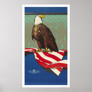 Amerikaanse adelaar poster