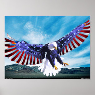 Amerikaanse adelaar poster