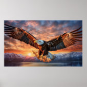 Amerikaanse adelaar poster (Voorkant)