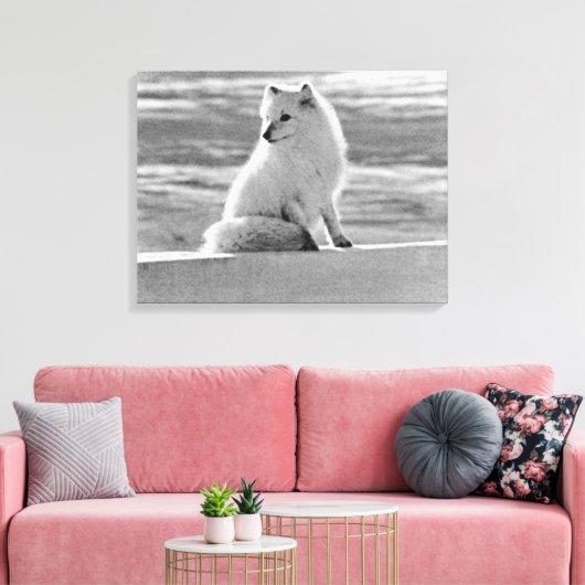 Amerikaanse Alaska Arctic fox Canvas Afdruk (Insitu (Woonkamer))