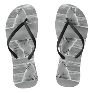 Amerikaanse Alaska Arctic fox Teenslippers