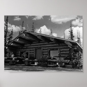 Amerikaanse Alaska Modern alaskan Poster