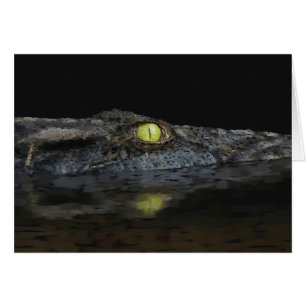 Amerikaanse Alligator