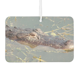 Amerikaanse Alligator Air Freshner Luchtverfrisser
