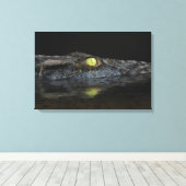 Amerikaanse Alligator Canvas Afdruk (Insitu (Houten vloer))