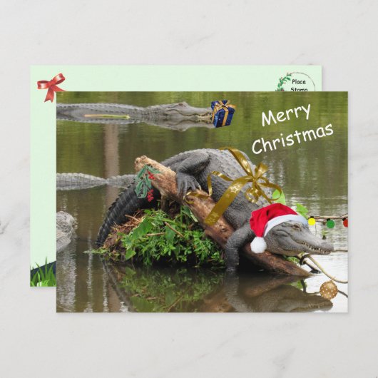 Amerikaanse Alligator Christmas Briefkaart (Voorkant / Achterkant)