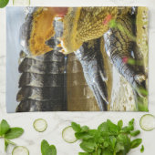 Amerikaanse alligator closeup. Gezichtelijk Theedoek (Gevouwen)