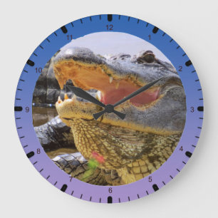 Amerikaanse Alligator Grote Klok