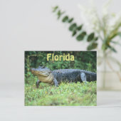 Amerikaanse alligator in Florida Briefkaart (Staand voorkant)