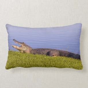 Amerikaanse alligator kussen