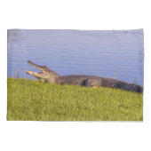 Amerikaanse alligator kussensloop (Achterkant-Links)