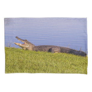Amerikaanse alligator kussensloop