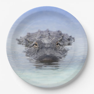 Amerikaanse Alligator – Lake Apopka Wildlife Drive Papieren Bordje