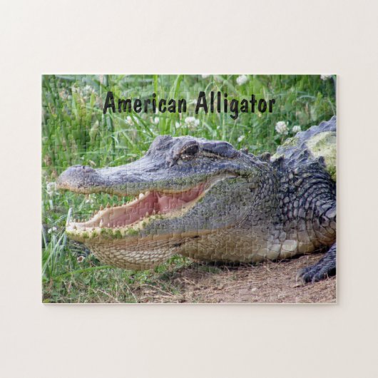 Amerikaanse Alligator Legpuzzel (Horizontaal)