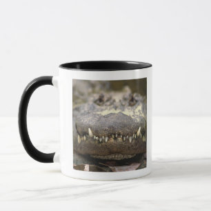 Amerikaanse alligator mok