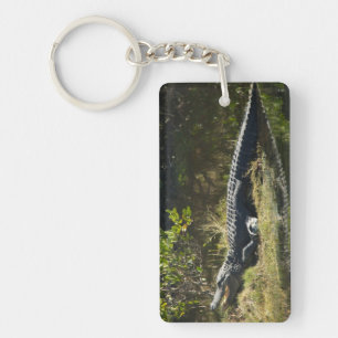 Amerikaanse alligator op een grazige oever in Flor Sleutelhanger