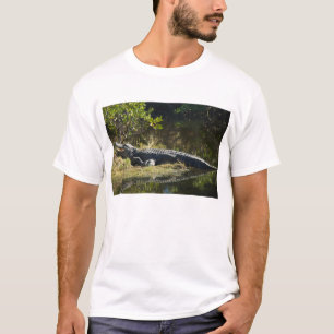 Amerikaanse alligator rustend langs een Florida we T-shirt