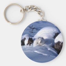 Amerikaanse Arctic Fox Sleutelhanger