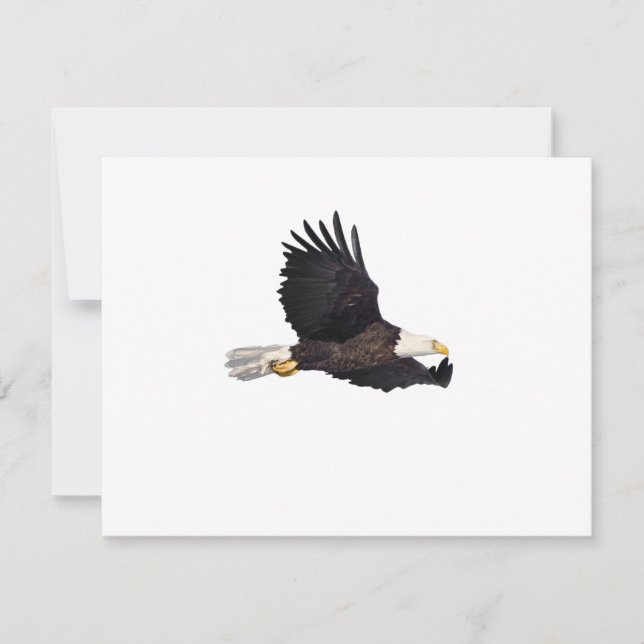 Amerikaanse Bald-adelaar (Voorkant)