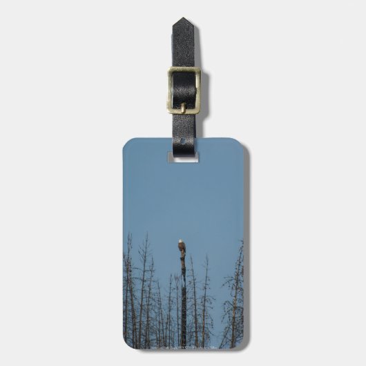 Amerikaanse Bald Eagle 8974 Bagagelabel (Voorkant verticaal)