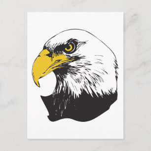 Amerikaanse Bald Eagle Briefkaart