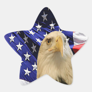 Amerikaanse Bald Eagle en vlag Ster Sticker