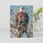 Amerikaanse Bald Eagle Feestdagenkaart (Staand voorkant)