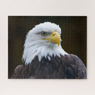 Amerikaanse Bald Eagle Legpuzzel
