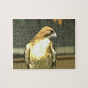Amerikaanse Bald Eagle Legpuzzel
