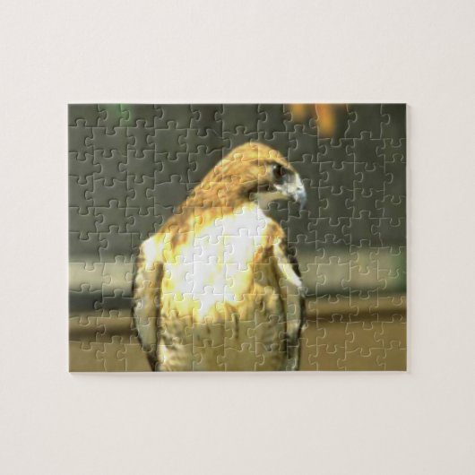 Amerikaanse Bald Eagle Legpuzzel (Horizontaal)