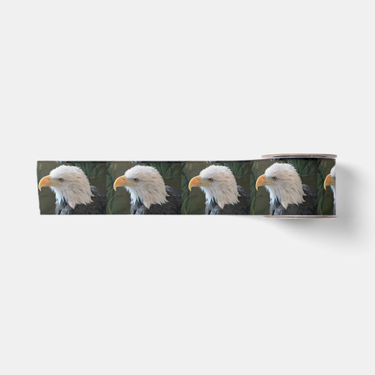 Amerikaanse Bald Eagle Lint (Voorkant)