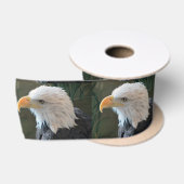 Amerikaanse Bald Eagle Lint (Spoel)