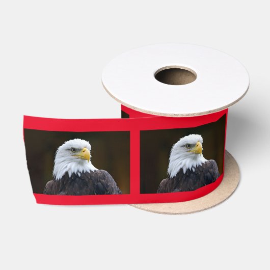 Amerikaanse Bald Eagle Lint (Spoel)
